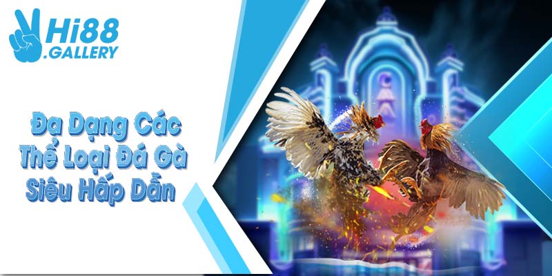 Đa dạng các thể loại đá gà siêu hấp dẫn