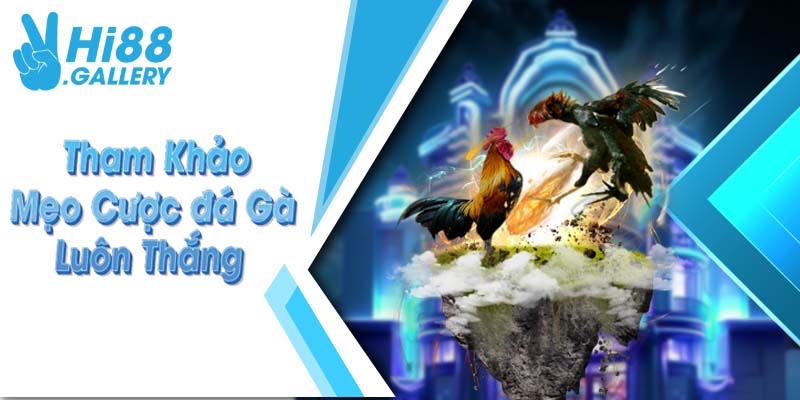 Tham khảo mẹo cược đá gà luôn thắng
