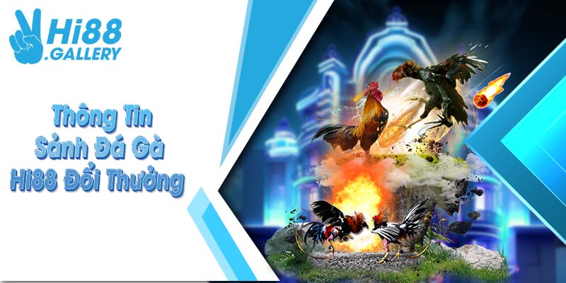 Thông tin sảnh đá gà Hi88 đổi thưởng