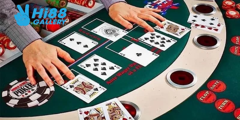 Những thuật ngữ cơ bản nói về cách chọn bài và đặt cược